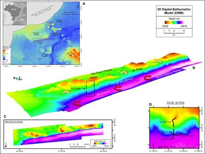 Deep-Sea Habitats and Megafauna on the Slopes of the São Paulo Ridge, SW Atlantic